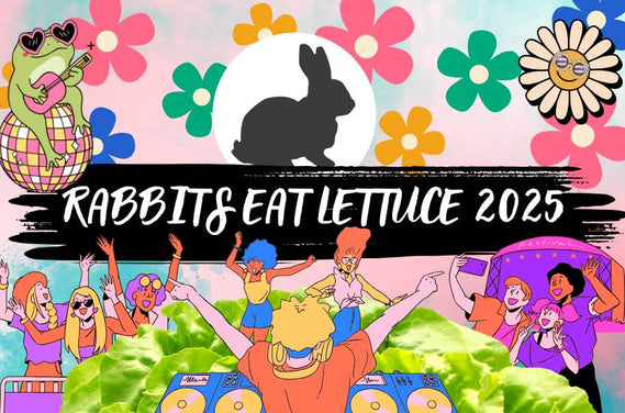 🐇 Rabbits Eat Lettuce Style Guide 2025