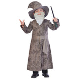 childs wise wizard costume, grey robe, matching hat and grey beard.