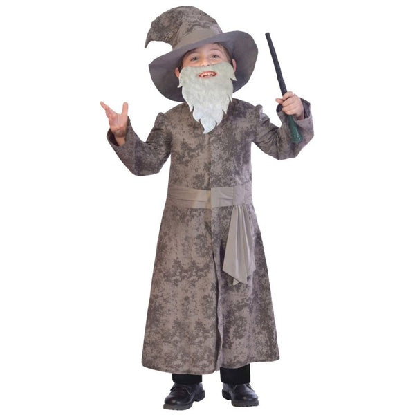 childs wise wizard costume, grey robe, matching hat and grey beard.