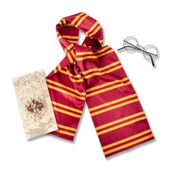 Harry Potter Accessory Set, scarf, glasses and card.