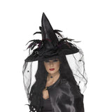 Black Witch Hat Feathers & Netting