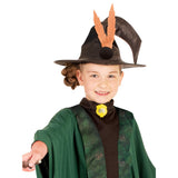 Professor McGonagall Robe-Child, witches hat with crooked tip and fake feathers.