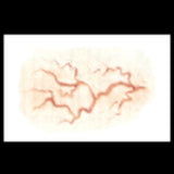 3d fx transfer of veins, halloween make up.