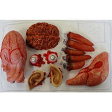 Meat market value pack body part decorations, eyes, fingers, brain, heart ears and liver.