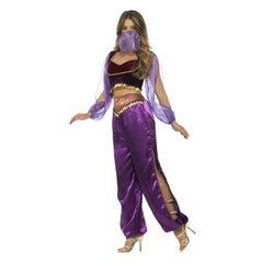 Arabian princes costume for adults, purple harem pants with split to the knee, midriff top with organza sleeves, headdress which covers the nose and mouth. Coin decoration of top and pants.