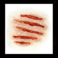 Attacked 3D FX Transfer by Tinsley Transfers. Realistic latex-free claw scratch wound prosthetic.