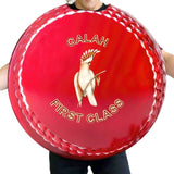 Close-up of printed cricket ball detail on wearable aussie novelty costume