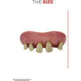 Set of false teeth with a measurement scale on a white background