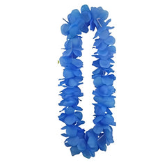 rainbow lie made of colourful flowers.