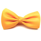 golden orange bow tie on a white background
