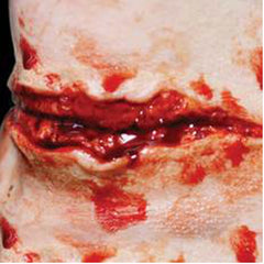 Cut Throat 3D FX Transfer by Tinsley Transfers. Realistic latex-free throat wound prosthetic for Halloween.