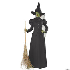 Deluxe Classic Witch plus size costume hire from The Wizard of Oz