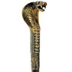 A black cane with an ornate gold-toned snake head handle, shown on a plain white background with a close-up of the handle and a full-length diagonal view.
