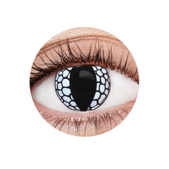 EyeFX White Dragon Contact Lenses with black slit pupil – 12 Month Use