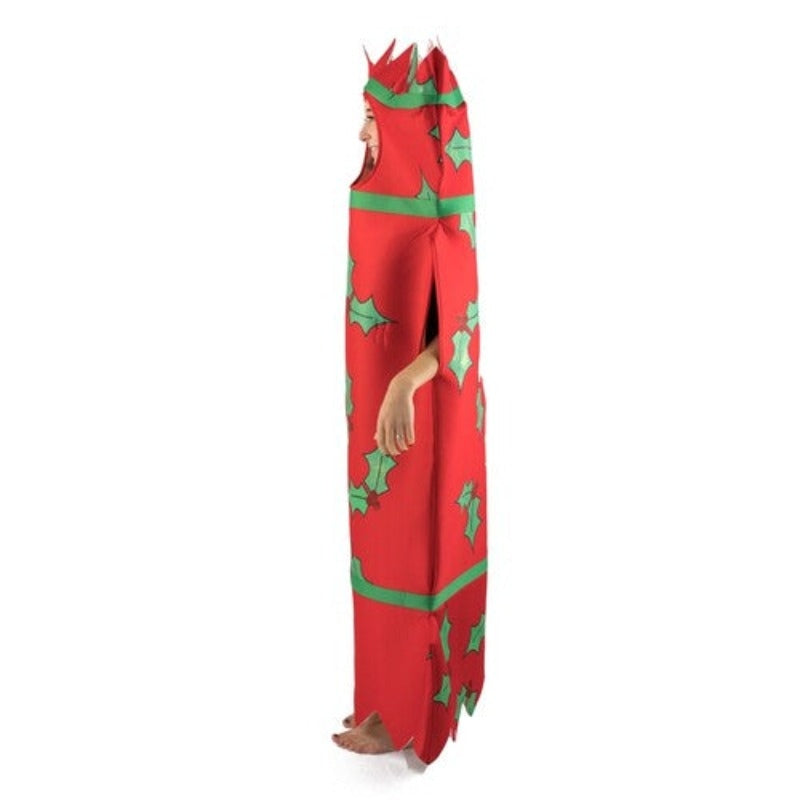 Adult Costume