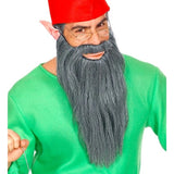 Grey Long Beard and Moustache Worn with Elf Costume