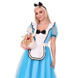 Person in Alice in Wonderland costume holding a plush toy on a white background