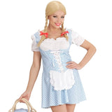 Light blue Oktoberfest dress ladies dirndl costume