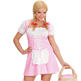 Pink Oktoberfest dress ladies dirndl costume