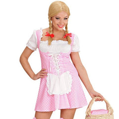 Pink Dirndl Women’s Oktoberfest Costume with Attached Apron