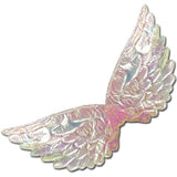 Iridescent angel wing on a white background