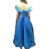 Princess ball gown costume hire Brisbane showing full-length gown from back