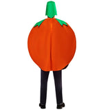 Pumpkin costume with green stem on a white background