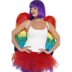 Rainbow feather wings 60cm costume accessory