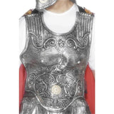 Roman Armour Breastplate - Silver is made of flexiable latex, ties behind the back. One size, adult.