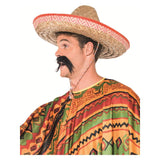 Person wearing a colorful poncho and sombrero on a white background
