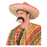 Person wearing a colorful poncho and sombrero with a mustache on a white background