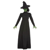 Character pose of wicked witch adult costume ideal for Book week
