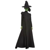 Wicked wictch adult dress and hat