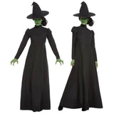 Wicked Witch Adult Costume inspired by The Wizard of Oz for Book Week