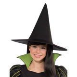 Wicked witch child costume with hat and high collar