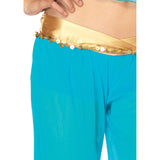 Arabian Beauty Ladies Leg Avenue Costume