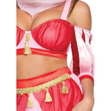 Dreamy Genie Costume