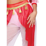 Dreamy Genie Costume