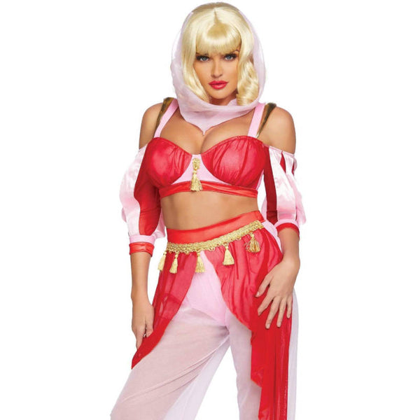 Dreamy Genie Costume