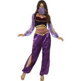 Arabian Princess Costume - Purple