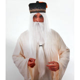 Wizard Wig and Beard Kit - Tomfoolery