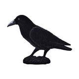 Raven 18 x 30 cm