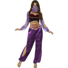 Arabian princes costume for adults, purple harem pants with split to the knee, midriff top with organza sleeves, headdress which covers the nose and mouth. Coin decoration of top and pants.