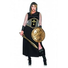 Joan of Arc costume hire with medieval dress, hood, sword and shield