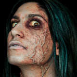 3d fx transfer of veins.