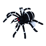Spider with White Stripes 30 cm